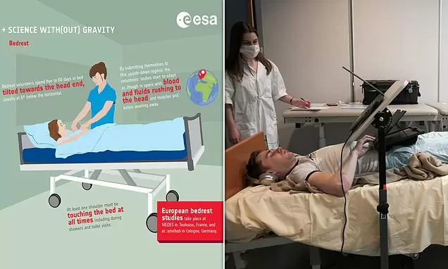 「60日間ベッドに寝るだけで270万円」欧州宇宙機関が参加者を大募集！