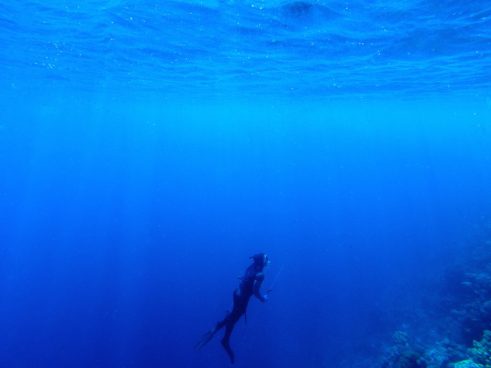 世界新記録を樹立！ 米教授が100日間「海中で暮らす」ことに成功
