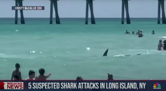 楽しい海が突如パニック！ 米の海水浴場に「サメ」が相次ぎ出現