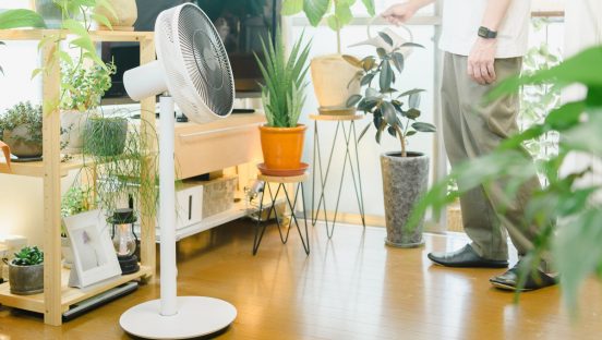 猛暑…よりも「植物好き目線」で扇風機の魅力は伝わるか？ バルミューダ「The GreenFan」実験的レビュー