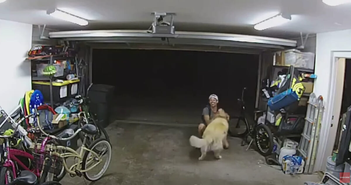 泥棒が侵入先のガレージで犬と遭遇！ 常識では考えられない行動を防犯カメラが捉えた