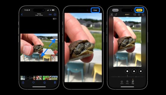 iOS 17は「画像の切り抜き」がめっちゃ便利になります