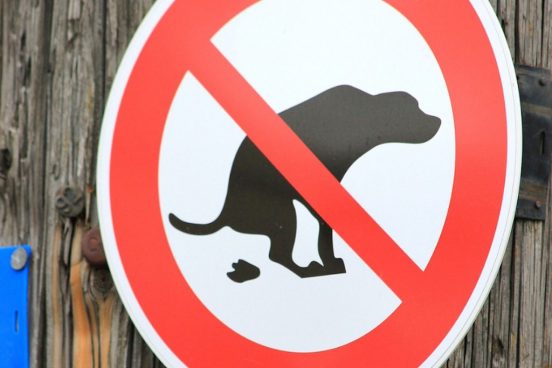 DNA検査に賛否両論！ 紛糾するフランスの「犬のふん」を片付けない問題