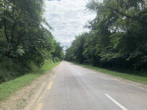どうしてネパールの道路はジャングルに囲まれているのか？