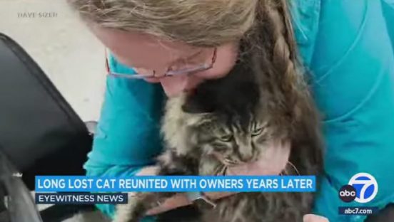 「行方不明の猫」が12年ぶりに米夫婦と再会。その日はなんと…