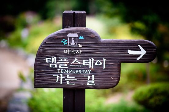 日本の宿坊よりリアル!? 韓国で「テンプルステイ」が大人気