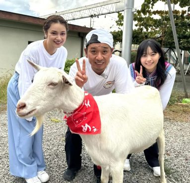 舞台は山梨県甲州市！西野七瀬が軽トラ初運転＆平愛梨はなぜか大号泣！？『ヤギと大悟』