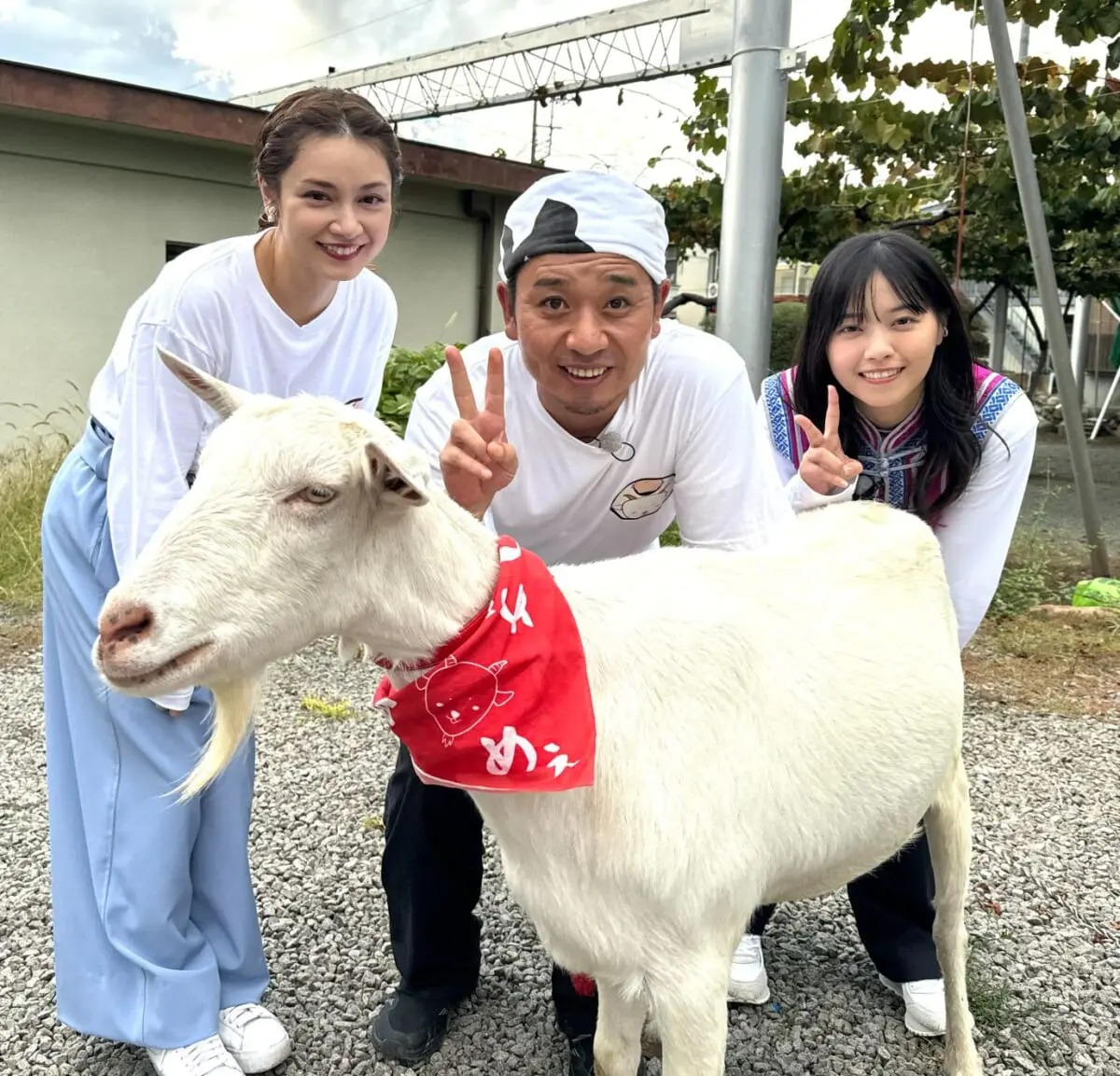 舞台は山梨県甲州市！西野七瀬が軽トラ初運転＆平愛梨はなぜか大号泣！？『ヤギと大悟』