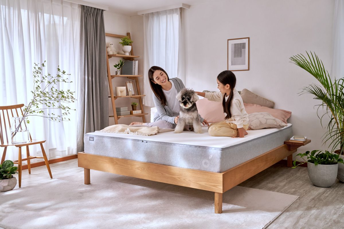 ワインが倒れない「コアラマットレス」、ブラックフライデーセールで最大20％オフ！ ショールームではお試しもできます
