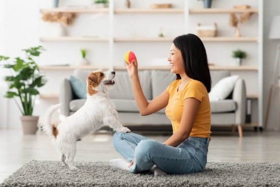 「天才犬」を見分けるサインが3つ判明！お宅の愛犬はどう？