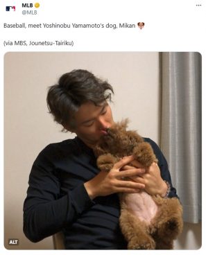 MLB公式が山本由伸の愛犬みかんを紹介。「デコイとの対面が見たい！」とファン歓喜