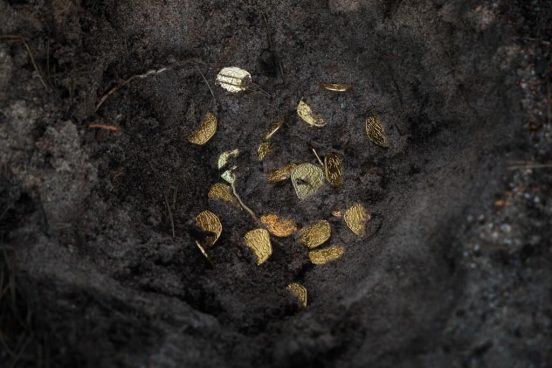 英農家が友人と畑で金貨を発見！ 一人で見つけていたら、いくら手にしていた？