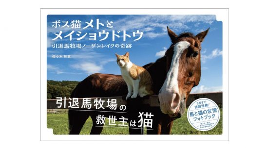 引退馬と猫が過ごす日々にほのぼのしちゃう！ SNSでも話題のフォトブック『ボス猫メトとメイショウドトウ』