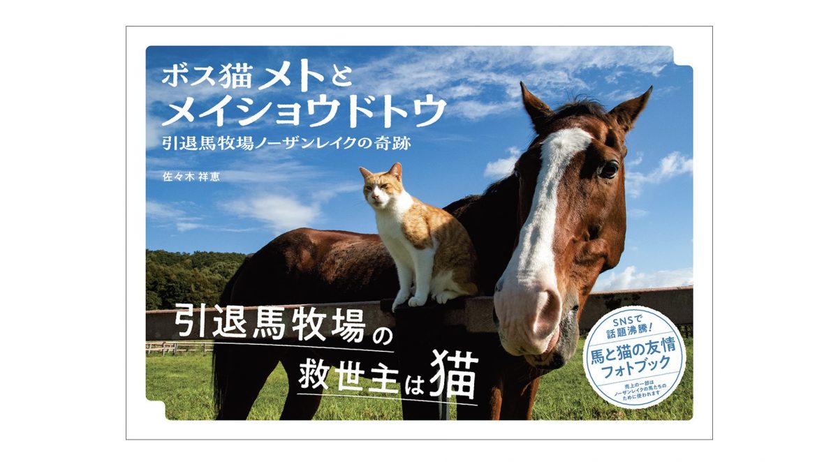引退馬と猫が過ごす日々にほのぼのしちゃう！ SNSでも話題のフォトブック『ボス猫メトとメイショウドトウ』