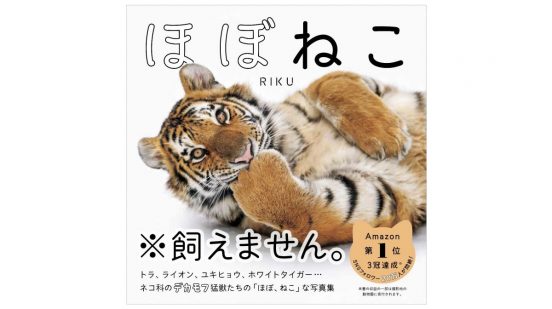 猫の日には「ほぼねこ」な”デカモフ猛獣”たちに癒されてキュンキュンしよう！