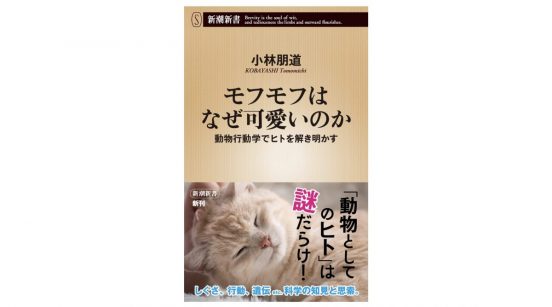 「怖い怖い」といいながら、なぜヒトは薄目で見てしまうのか？ 動物行動学から人間の謎に迫る～注目の新書紹介～