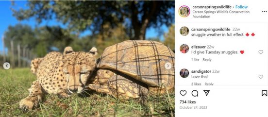 動物の定説が覆った！ 異色の仲良しコンビが米で誕生