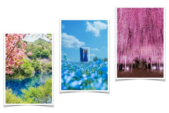 予約不要で日帰り可！GWに行きたい写真映えするお出かけスポット9選