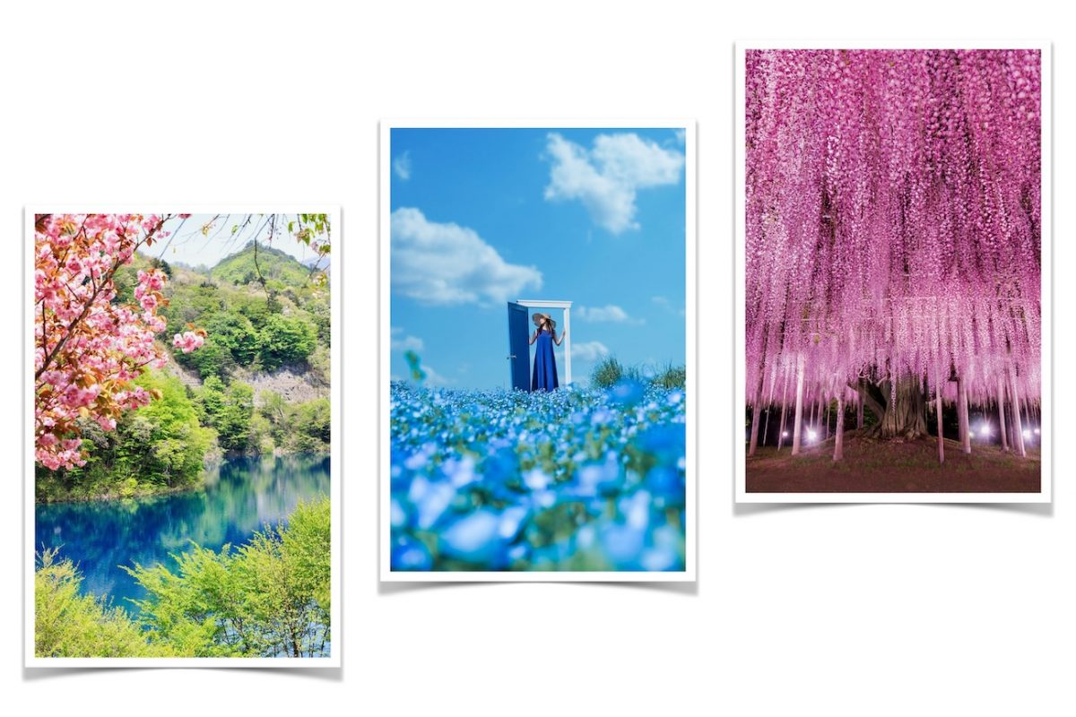 予約不要で日帰り可！GWに行きたい写真映えするお出かけスポット9選
