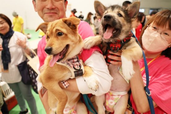 パナソニックはなぜ保護犬猫譲渡会を開催するのか？ 日本最大級の譲渡会を見た
