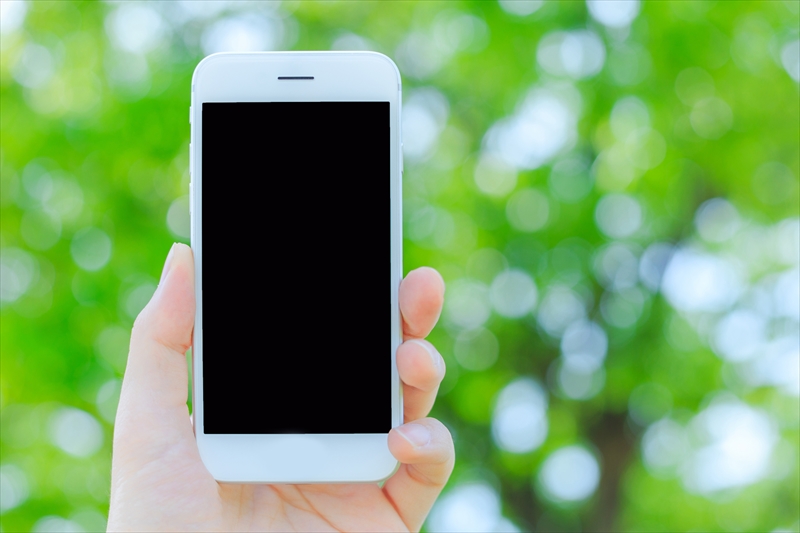 森の中で白いスマートフォンをかざす人の手