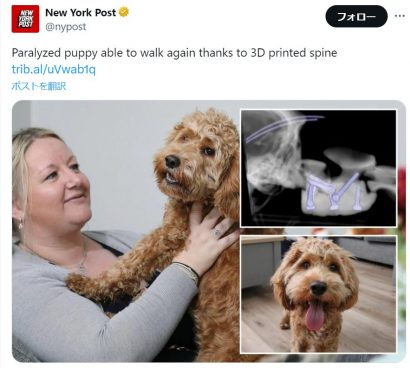 突然動けなくなった子犬を救え！ 英の医師が3Dプリンターで作った医療器具とは？