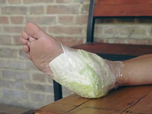 関節の痛みに効く!? 米医師が「キャベツ療法」を紹介