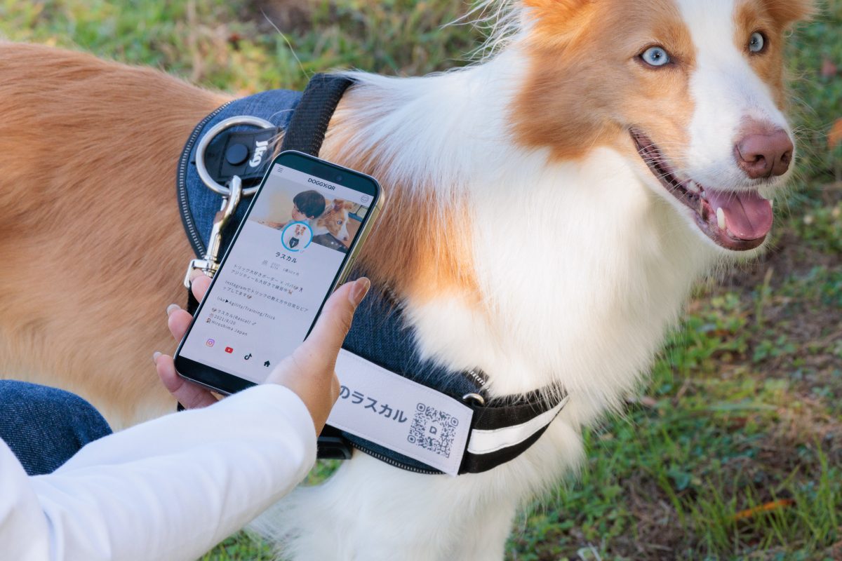 飼い主同士の新しいコミュニケーションやスマート迷子札の機能を持つ「DOGGY’sQR」