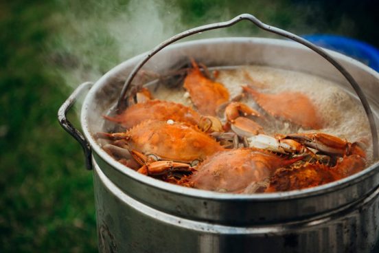 カニも痛みを感じることが判明！ 生きたまま茹でてはいけない⁉