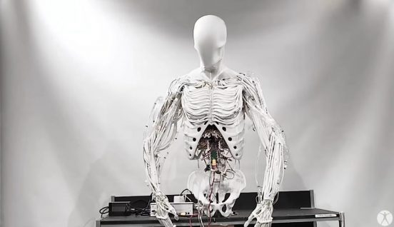 筋肉がついてきた！ 上半身がリアルなロボットをポーランドが開発中