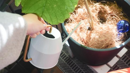 「植物をいつも枯らしてしまう」問題を解決してくれたアイテム2選。緑に囲まれた生活を実現できたよ～
