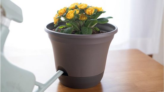 水やりのタイミングがわからない問題、「タンク付きの鉢」にしたら解決した！
