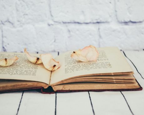 「古書」への愛が爆発！ 新感覚スイーツが海外で完成