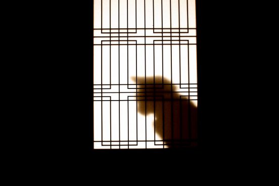 怖いだけじゃない、日本怪談の奥深さ！ 吉田悠軌おすすめ「教養としての名作怪談」3選