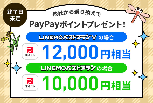 PayPayポイントプレゼントキャンペーン