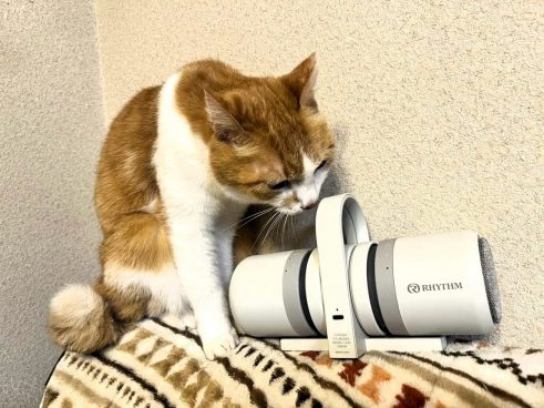 「なんとなく」が「これがいい」に変わる！ GetNavi Salonで深まる、モノ・食・トレンドへの関心とこだわり