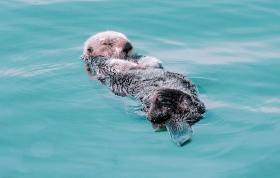 就寝前のスマホは絶対悪ではない！睡眠学者・柳沢教授に聞いた「睡眠の新常識10」