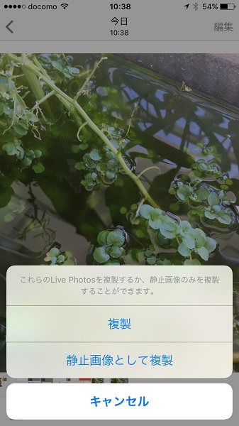 ↑写真を複製する際、Live Photoから静止画を抽出可能