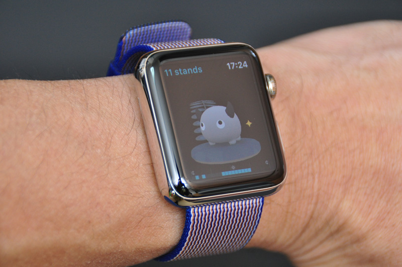 デジタル こんなことまで管理してくれるの Apple Watchがタダの時計じゃない理由 Getnavi Web 毎日新聞