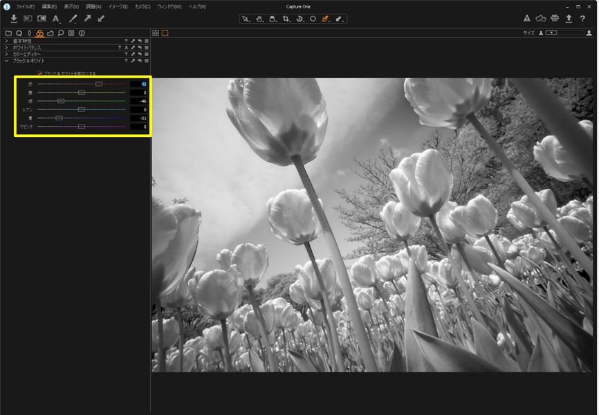 ↑「赤：＋40」「緑：－46」「青：－51」に設定。階調が豊かな白黒表現に仕上がった