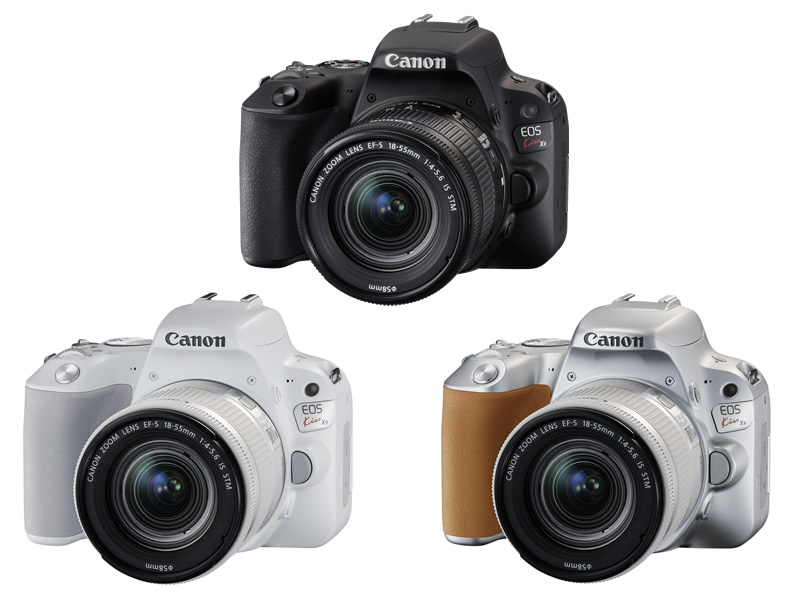 エントリー機ながら基本性能は充実 高コスパな小型軽量一眼レフ キヤノン Eos Kiss X9 Capa Camera Web