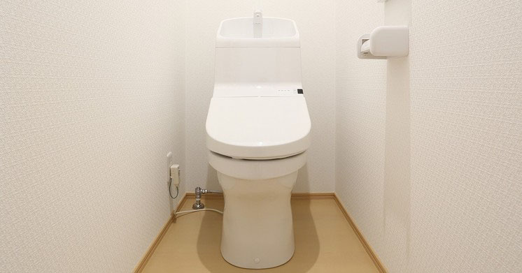 排泄だけじゃない ストレスや性欲までも解消 日本人がトイレに求める思いとは Getnavi Web ゲットナビ