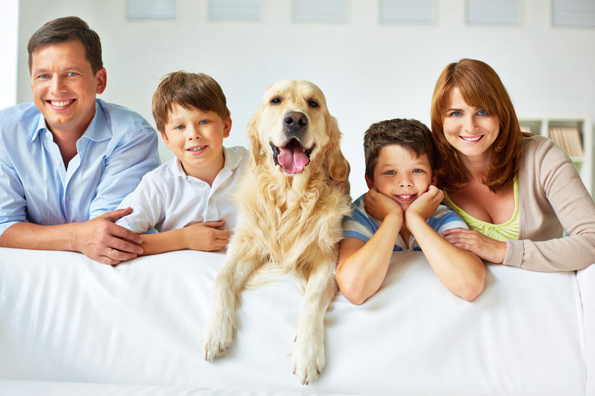 31226273 - smiling family of four with a dog