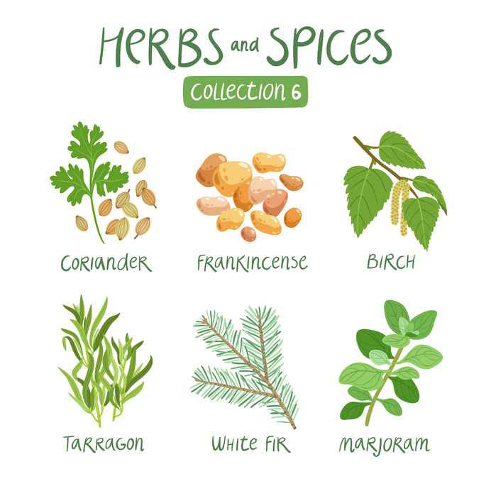 44519944 - herbs and spices collection 6. for essential oils, ayurvedic medicine