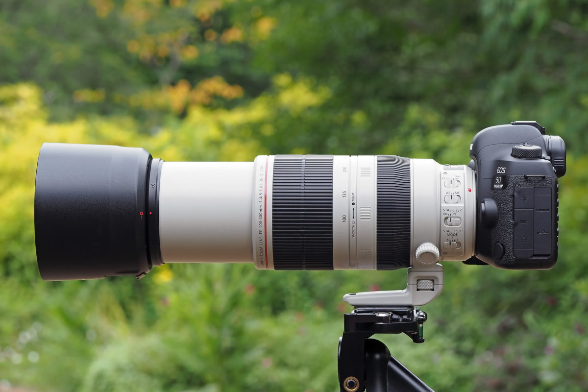 最低制限価格 ❤極美品❤望遠レンズ❤Canon EF55-200mm❤遠景に