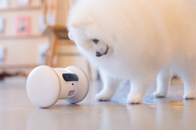 デジタル ペットロボットではなくて ペット用ロボット 飼い主待望のガジェットに高まる期待と一抹の不安 Getnavi Web 毎日新聞