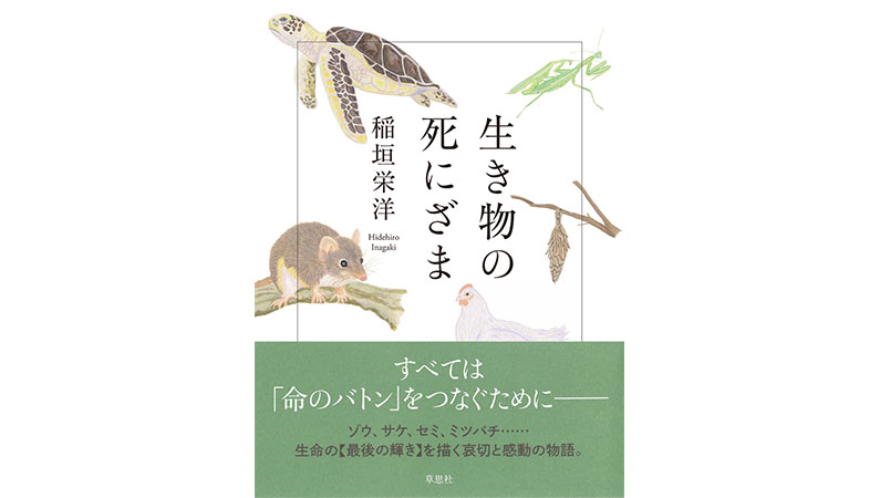 メスの蚊が卵のために人間の血を吸っているとき オスの蚊たちは何をしているんだろう Getnavi Web ゲットナビ メスの蚊が卵のために人間の血を吸っているとき オスの蚊たちは何をしているんだろう Getnavi Web ゲットナビ