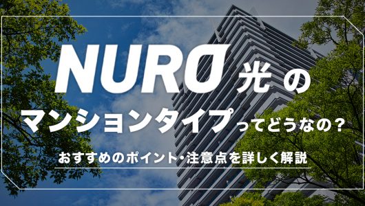 NURO光のマンションタイプ