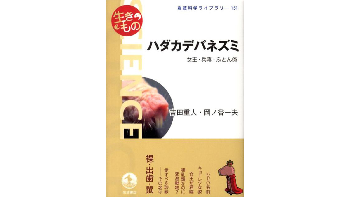 自分探しに出る個体まで ヒトとそっくりな ハダカデバネズミの社会 Getnavi Web ゲットナビ