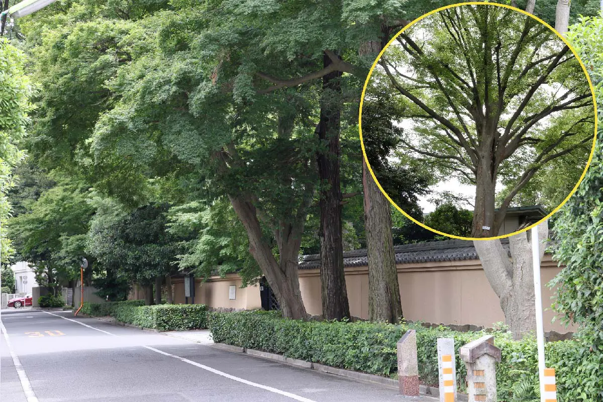 未来に向けて多くの種を蒔いた「五島慶太」の生涯【後編